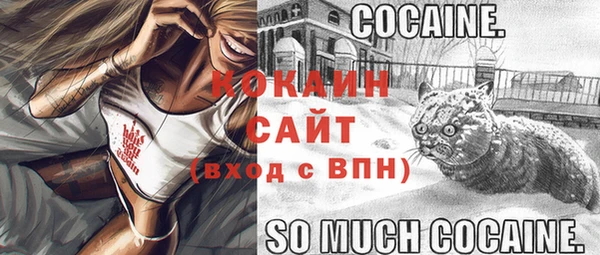 мяу мяу мука Абаза
