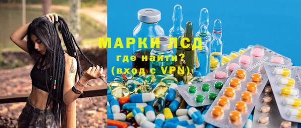 мяу мяу мука Абаза